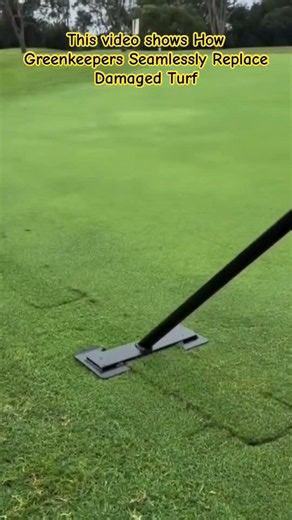 Watch the precision of professional golf course maintenance! 👇 #GolfMaintenance #OddlySatisfying