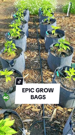 We love grow bags so much we made our own, with a few bells and whistles that make using them just that little bit easier.
