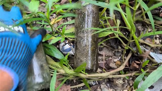 Years later, I finally returned and found something incredible