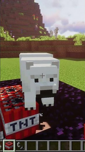 💣 Can a Polar Bear Survive TNT in Minecraft?