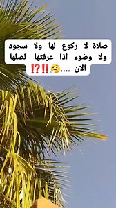 81K views · 141 reactions | صلاة لا ركوع لها ولا سجود ولا وضوء اذا عرفتها لصلها الان ....樂‼️⁉️ | مقصوده | Facebook