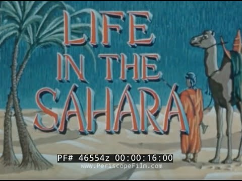 1953 LIFE IN THE SAHARA DESERT FILM BEDOUINS, ARTESIAN WELLS & OASIS DOCUMENTARY PRINT 2 46554z
