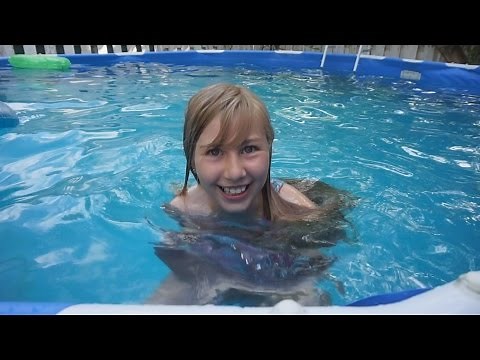 Pool Fun! Day 209 (06/15/15)