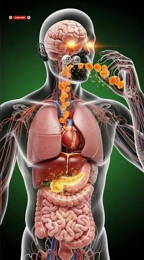 What Happens When You Eat Dried Apricots? | 3D Medical Animation (Energy & Eye Health Benefits)