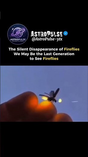 Why Fireflies Are Disappearing Forever 😢😔