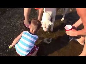 Digging for sea shells in the intercoastal, Myrtle Beach SC
