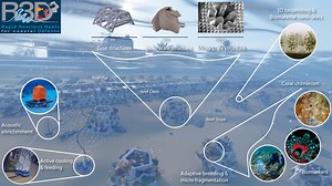 Living Artificial Reef