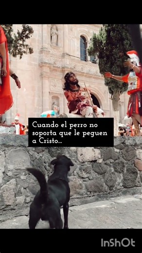 💙¡Cuando no soportas que le peguen a un Inocente!💙