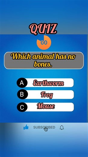 Very Tuff Quiz Hurry Up Give Me An answer |1080p. #quiz #independencedayquiz #foryou #gk #foryou