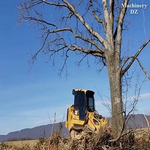 231K views · 1.4K reactions | The excavator pushed down a large tree | Unofficial: agriculture | Facebook