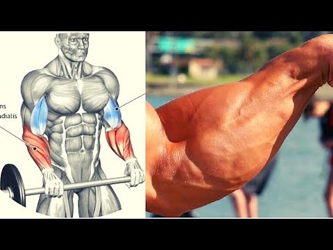 8 BEST FOREARMS EXERCICES / MUSCULATION AVANT BRAS