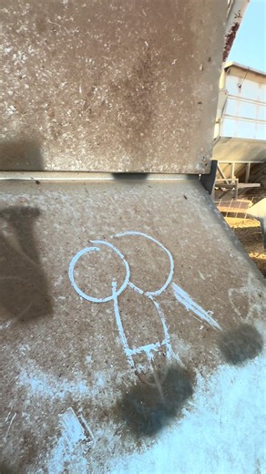 Keeping Sheep Happy on the Farm