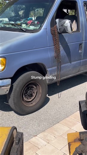 Stump grinding #stumpgrinding #fyp #trees #stumps
