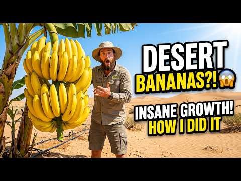 UNBELIEVABLE! Growing Bananas in the Sahara Desert — The Results Will Shock You | FactoryLab