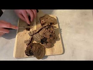 Flat Ganoderma (Ganoderma applanatum) for beginners / Part II