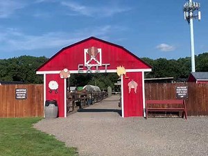 Fink's Country Farm Petting Zoo