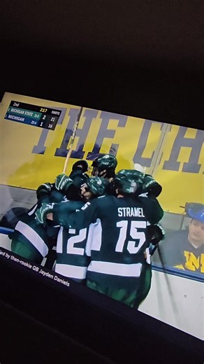 Happy Sunday GO GREEN! #catsoftiktok #michiganstate #hockey