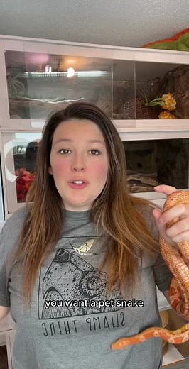 Corn Snake vs Milk Snake: A Comprehensive Guide for Pet Owners