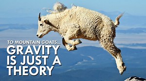 Mountain Goats: The Gravity-Defying Legends of the Cliffs