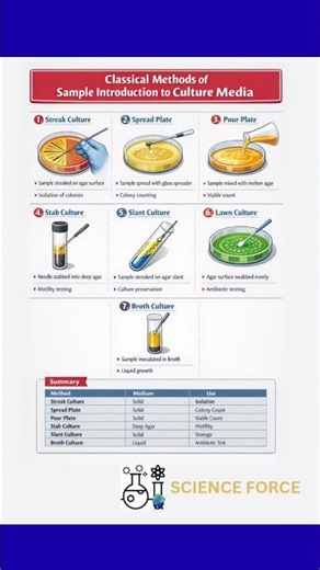 Classical methods of culture media inoculation #biology #biochemistry #science #inoculation