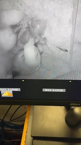 28K views · 1.1K reactions | We just might have got this… 11and 9...