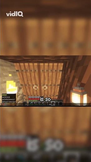 Why I Use Spectator X-Ray on My Minecraft Server!