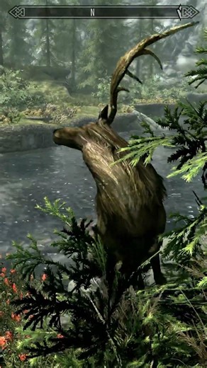 The Circle of Life #Skyrim #bethesda #shorts #gaming #videogames