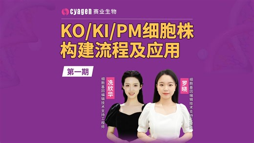 KO、KI、PM 细胞株到底怎么做？从构建流程到实际应用，一次讲清楚！