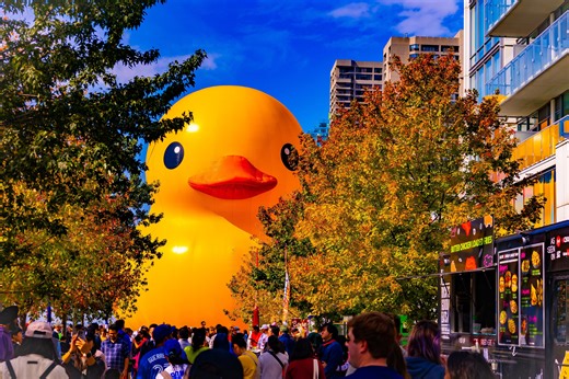Giant rubber duck lands in Cuyahoga Falls. What to know about festival