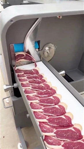 Model 160 continuous slicer # continuous slicer # chopping machine # frozen meat slicer
