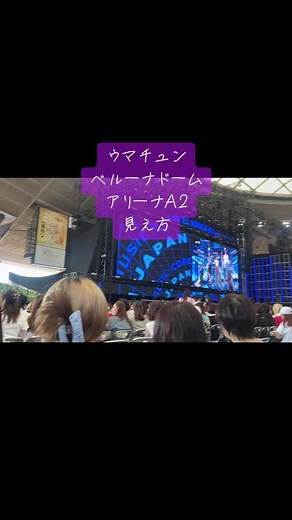 ベルーナドームのアリーナ席の見え方