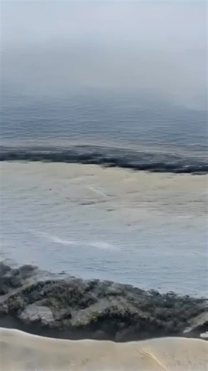 Expanded.art on Instagram: "Bård Ionson’s (@bardionson) CALIFORNIA CONSCIOUSNESS (2023) is available at EXPANDED.ART. This immersive work, generated through a Video AI GAN, runs 02:00 and is issued in an edition of 1/1/8. Developed from a family journey across California—spanning Los Angeles to San Francisco and the in-between landscapes—over 2,000 images were fed into the model. Roads and deserts give way to fields of artichokes, strawberries, chickpeas, and vineyards; the ocean, wildlife, and 