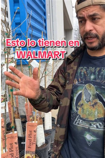 Aquí en Walmart tienen estos árboles FRUTALES #chatolandia2 #arbolesfrutales #walmartdeals #frutas #arbolesdefrutas