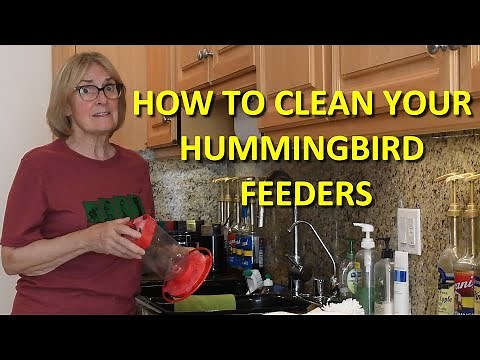 How to Clean Your Hummingbird Feeders