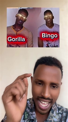 2014 Tii Yaa Xasuusto Gorile Iyo Bingo