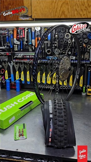 Instalación de CUSHCORE PRO nuevo con válvulas tubeless en color y llantas MAXXIS para bicicleta DH