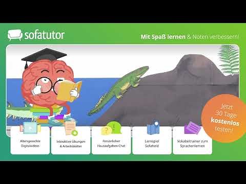 Das Erdzeitalter: Entwicklung des Lebens – Definition & Entwicklung