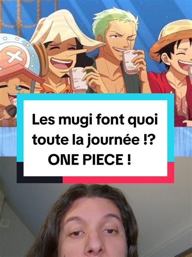 Le quotidien de l'équipage de Luffy dans One Piece