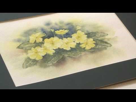 Watercolour Painting Primroses