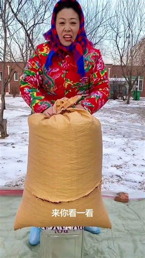 #Wild mountain red pine nuts#Mountain products make headlines#Record life and share lo