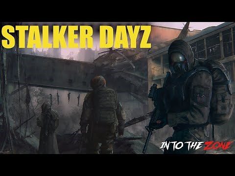 The Newest (And probably the best) DayZ STALKER Server - Intothezone