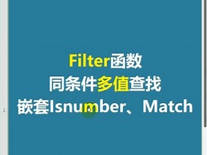 Filter函数，同条件多值查找，嵌套Isnumber、Match