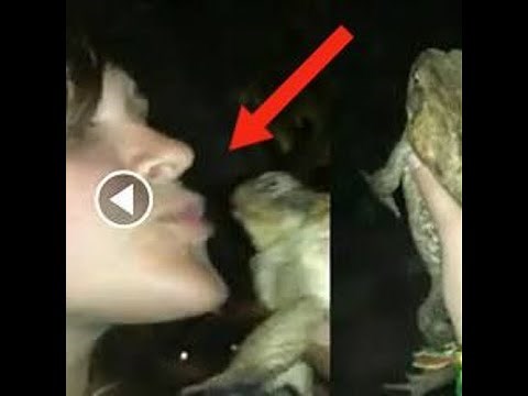 one girl one frog viral video original | One Girl One Frog LeakedVideo Viral Files Updated