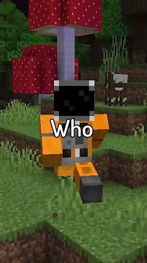 This was Minecraft's FIRST YouTuber...