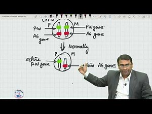 Epigenetics concept: Genomic imprinting