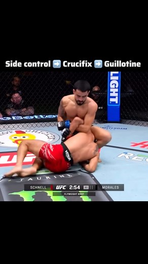 Great work by @bopojoseph 🥋💯 #mma #technique #tutorial #ufc #bjj #breakdown #submission #win #fighter | Roman Apolonov