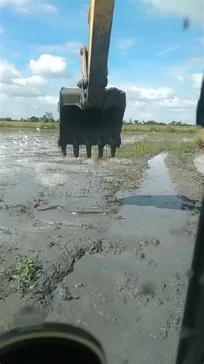 ‏#😲😲😲 #foryourpage #pyfツviral #foryoupage #youtube