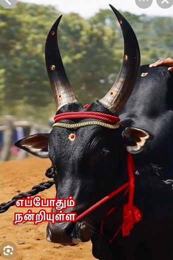 எப்போதும் நன்றியுள்ள உன் போல ஜீவன் இல்ல