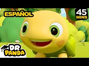 Mejores Momentos de Toto la Tortuga | Animaciones Comicas para Niños | Dr. Panda en Español