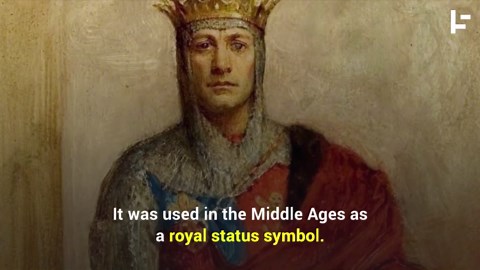 The key reason fast food signs are red